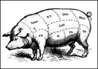 picture of pig