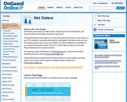 picture of net-cetera website