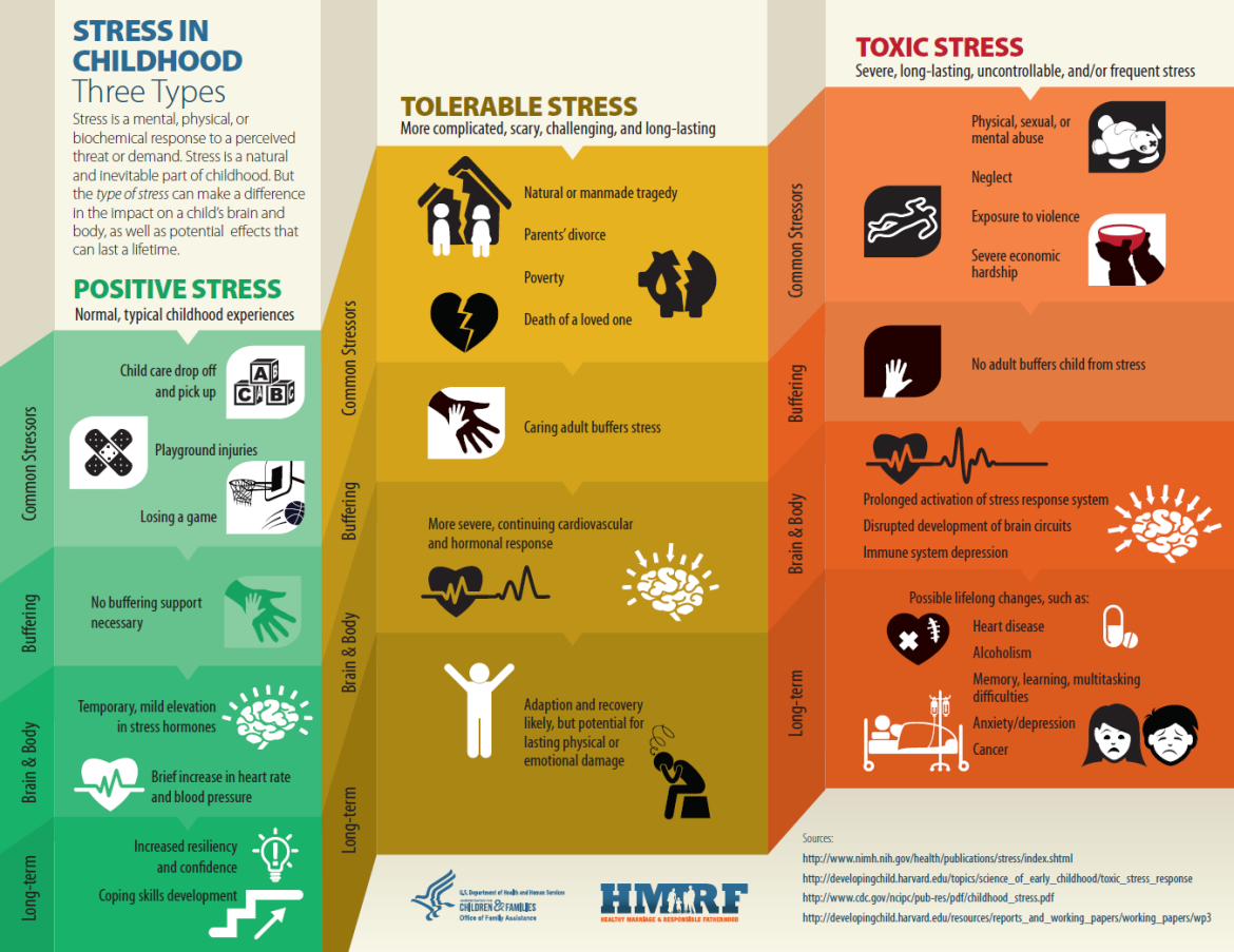 Translating the Science of Childhood Stress Into Youth Service Practice