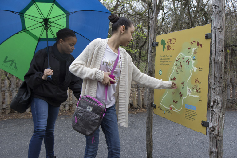 Nathalie Joseph Jean and her mentee, Amaya Lopez, decide which parts of the Bronx Zoo to explore. Joseph Jean is one of only three percent of New York City Big Brothers Big Sisters volunteers to hail from the Bronx.