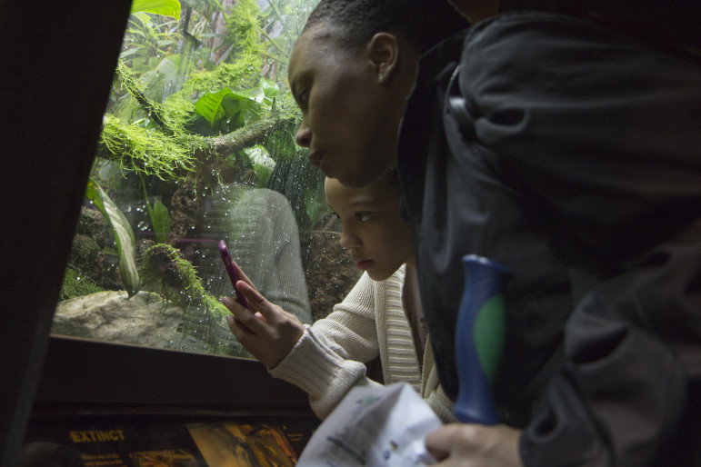 Nathalie Joseph Jean looks on as her mentee, Amaya Lopez, takes a photograph in the Bronx Zoo’s reptile house. According to Big Brothers Big Sisters, it's easier to find female volunteers than male volunteers to serve as mentors for local children.