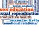 sex-pregnancy-education-replication-scaling-grants
