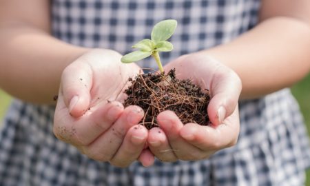 environmental education grants, child holding plant and soil