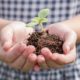 environmental education grants, child holding plant and soil
