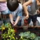 k-12 youth garden grants, children gardening