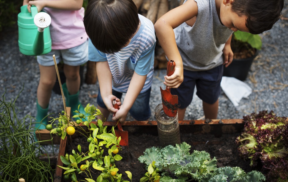 Youth Garden Program Grants Youth Today