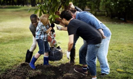 community forestry, environmental education project grants; diverse group planting tree