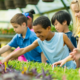Colorado community, family, welfare grants; youth at education garden