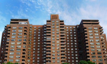 public housing: Public housing in New York City.