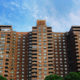 public housing: Public housing in New York City.