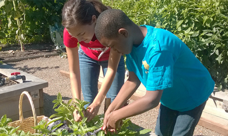healthy food access and nutrition education grants; youth learning to garden