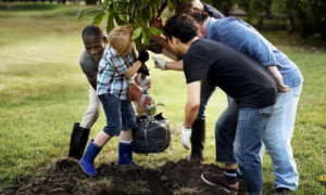 youth-led projects, youth tree planting project grants; team of people planting tree with children