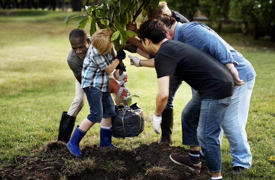 youth-led projects, youth tree planting project grants; team of people planting tree with children