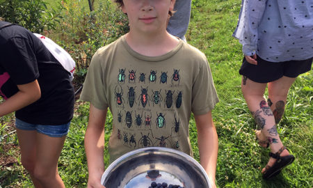 OST: Boy in green ball cap, T-shirt with bugs pictured on it, jeans holds big bowl full of blueberries as other children walk in grass around him.