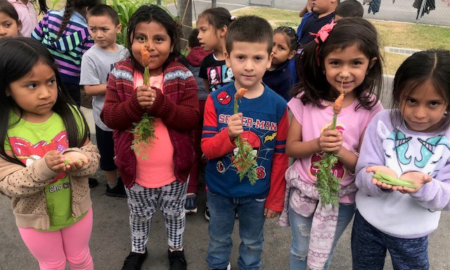 CA K-12 Agriculture Education Project grants; group of youth with plants