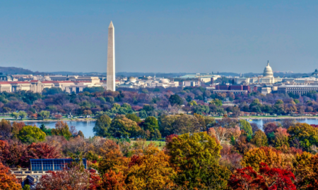 D.C. Region Vulnerable Populations COVID Response Grants; Washington D.C daytime. skyline