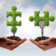 child welfare: two human hands holding trees shaped as a jigsaw puzzle coming together