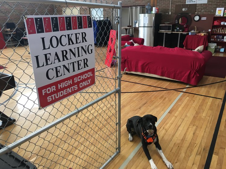 Montana: Dog lies on gym floor next to fence with sign that reads Locker Learning Center; fridge, microwave in background