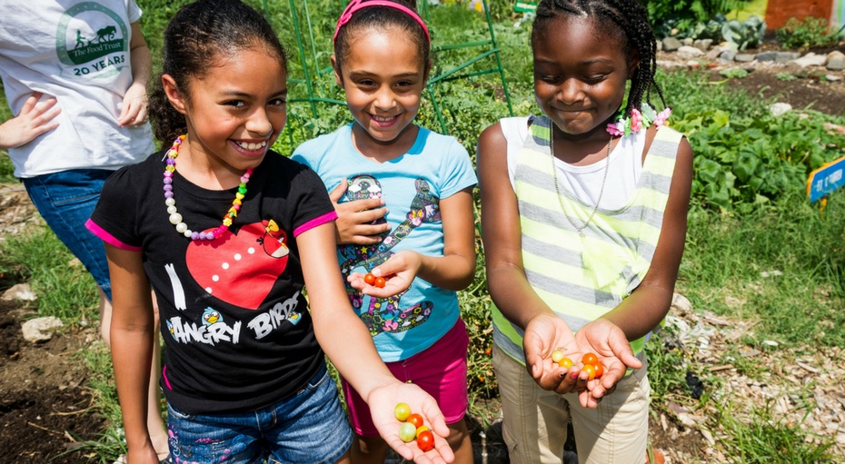 Community Healthy Food Access and Healthy Living Through COVID Grants
