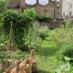 community garden support grants; picture of nice and productive urban community garden