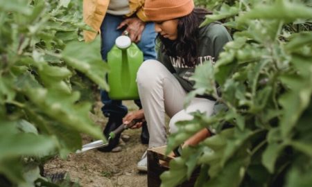 Youth-Led urban greening and gardening project grants; young woman with beanie on watering plants in garden
