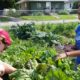 youth and community garden project grants: two youths tend to a garden in their community