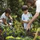 California school garden project grants: educator and young students tending to lush garden