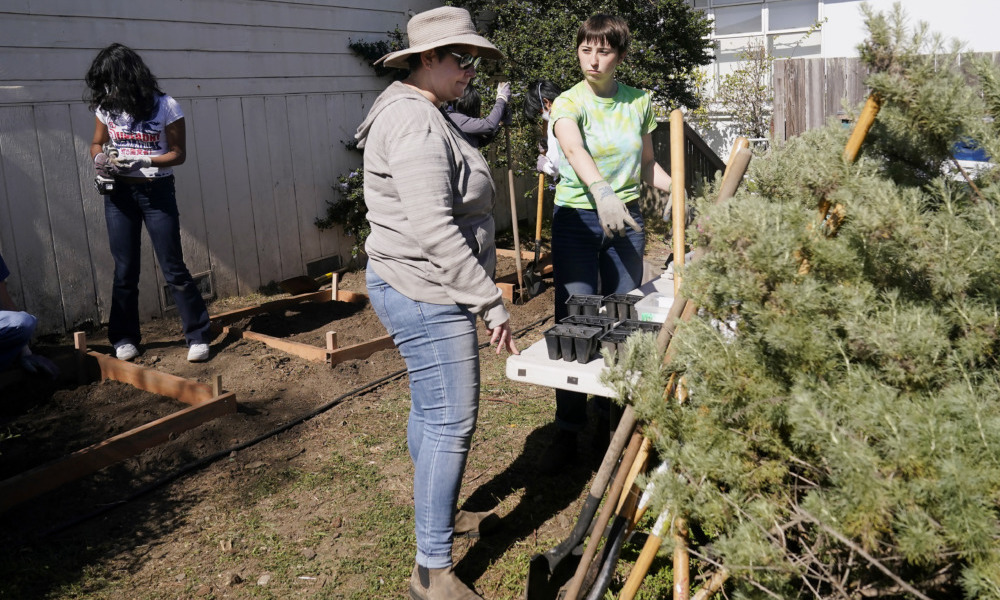 student volunteers disappear: Adult wearing jeans and light shirt and cowboy hat stands next to young woman wearing jeans and green t-shirt discussing potted plants on table in outdoor garden