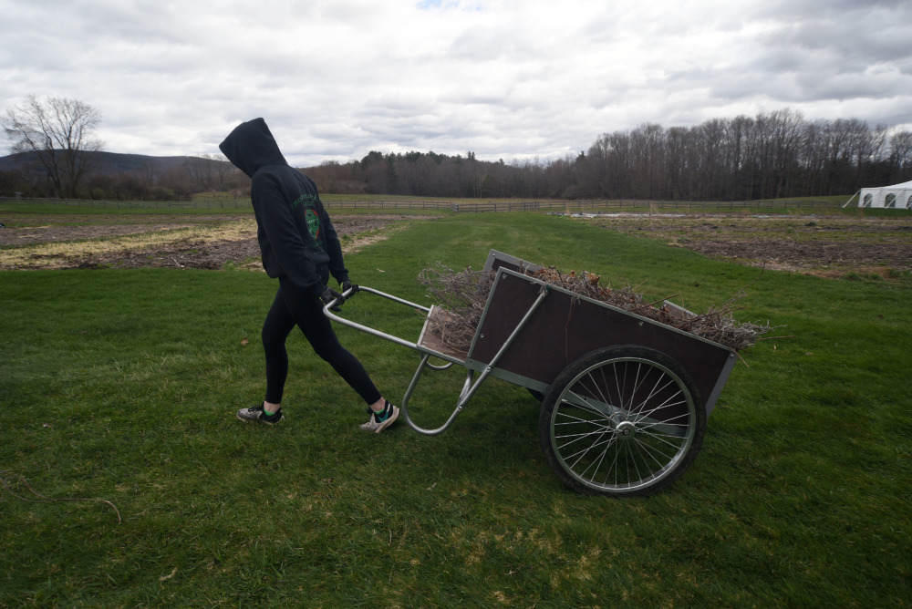 Teen farmer program: Person wearing green sweatshirt with hood up and jeans pulls a wheelbarrow behind themselves across an open, cultivated, green farm field with tree and cloudy sky on the horizon