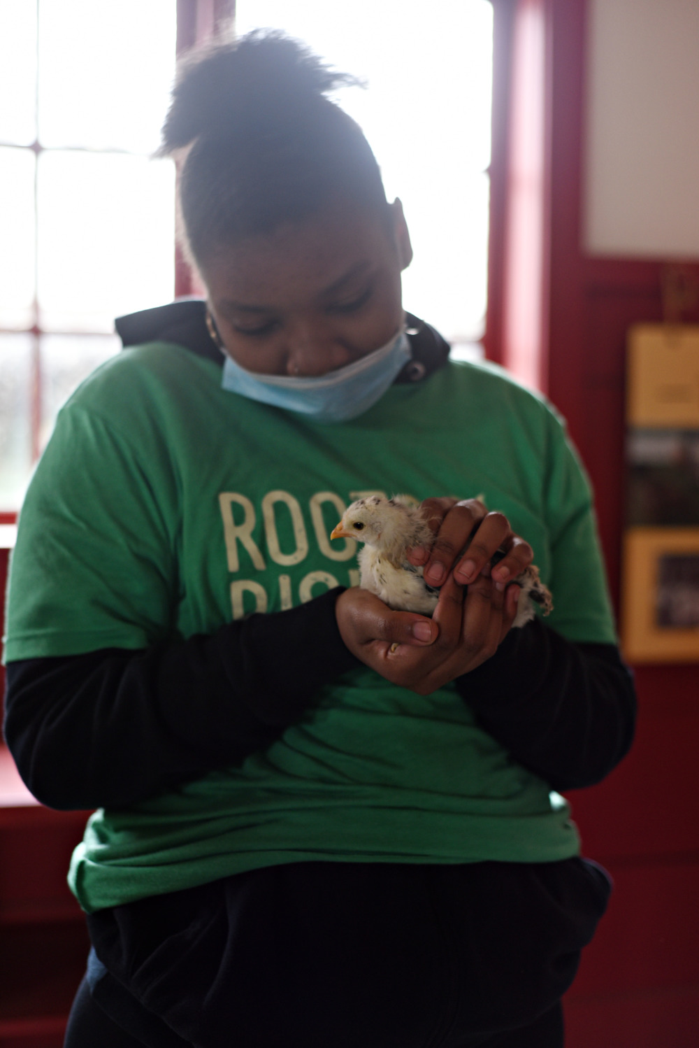 Teen farm program: Black teen girl wearing mask,and green tshirt over long-sleeved back shirt is holding baby chick in her hands.