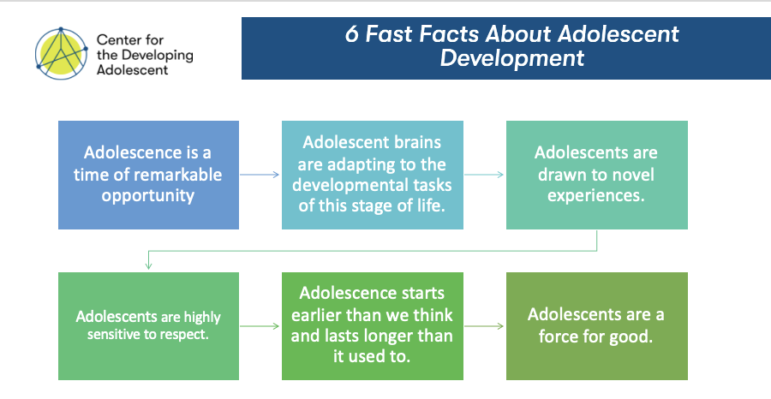 Adolescent development: 6 Fast Facts About Adolescent Development from the Center for the Developing Adolescent