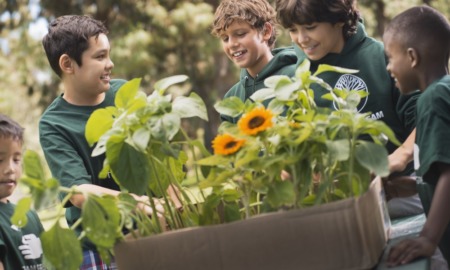 youth pollinator garden support grants: group of young boys planting sunflowers and smiling