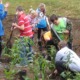 Chesapeake Bay environmental outreach and restoration grants: group of children planting a variety of plants using shovels