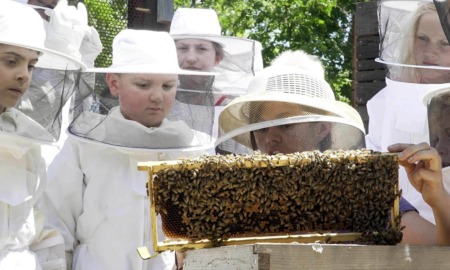 K-12 educational bee hive project grants: group of kids in bee suits looking at bees in hive