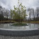 Sandy Hook memorial opens: image of round water feature with tree in the middle
