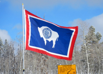 Wyoming Social Studies: Wyoming state flag with state seal and a white bison profile om drrp blue backsground with red border on flapole in front of leafless trees