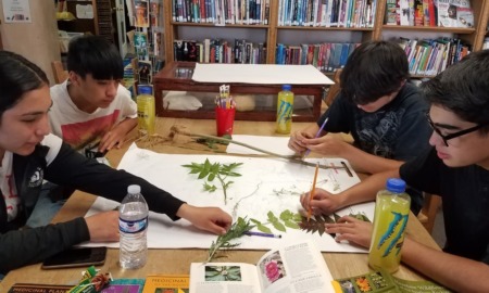 New Mexico child well-being and development grants: group of kids at a table working with plant leaves and drawing