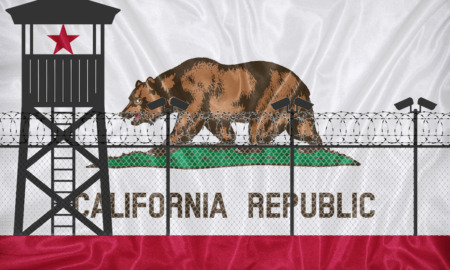 Juvenile justice reform: California state flag with brown bear on white field and thick red bottom border overlaid with black security tower and barb wire-topped fence.