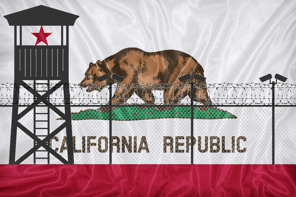 Juvenile justice reform: California state flag with brown bear on white field and thick red bottom border overlaid with black security tower and barb wire-topped fence.