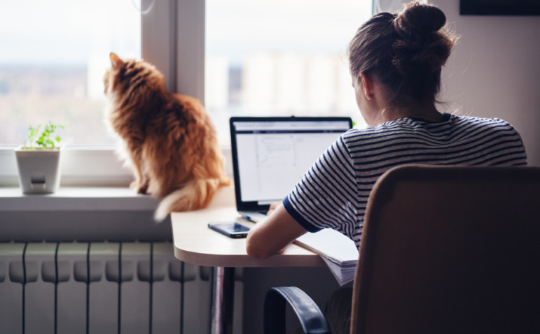 COVID tutoring funding: Young student with back to camera sits at laptop on desk in front of window with orange cat on the windowsill