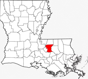 Tax Cuts cost schools: Black outline map of Louisiana and its parishes (analogous to counties) with one filled in with solid red