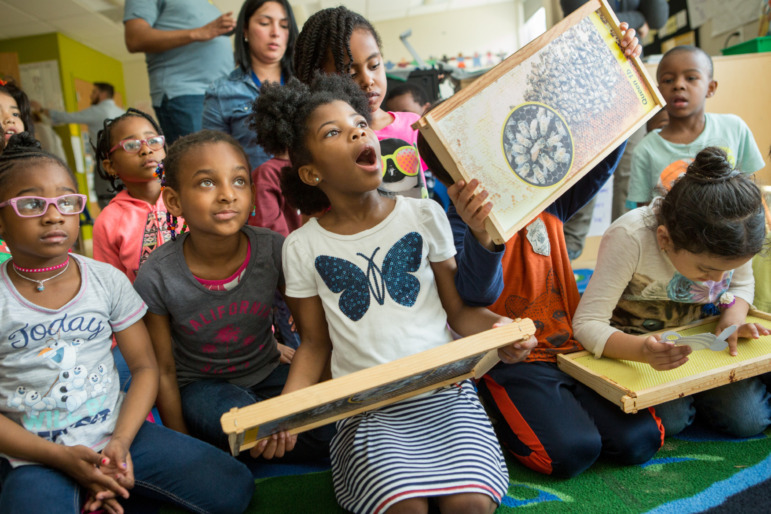 Science and Reading: Group of young elementary students in classroom hold light-colored wood beehive frames filled with geometric with honeycomb with expressions of awe on their faces.