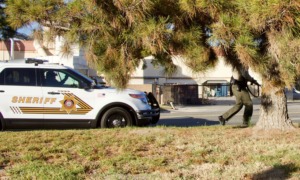 Ryan Gainer - When police encounters with autistic people turn fatal: a police officer walks away from a San Bernardino sheriff's car with gun in hand
