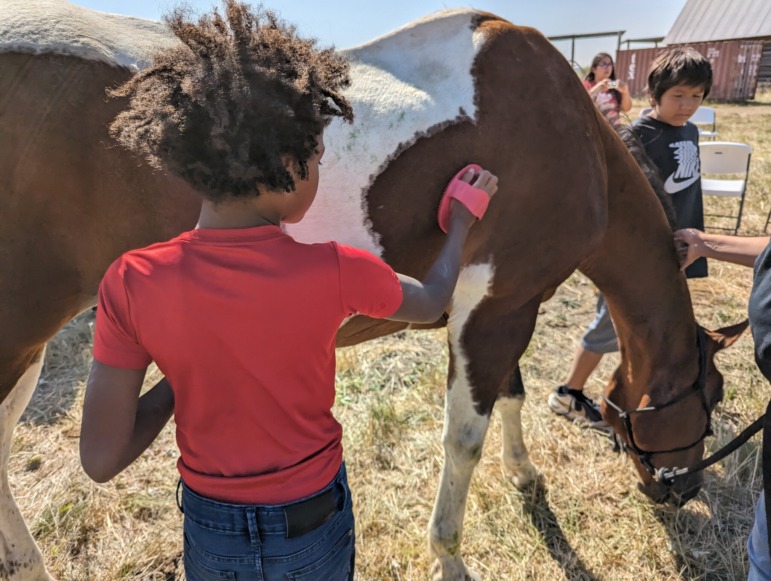 Healing Children of Horse Nations: