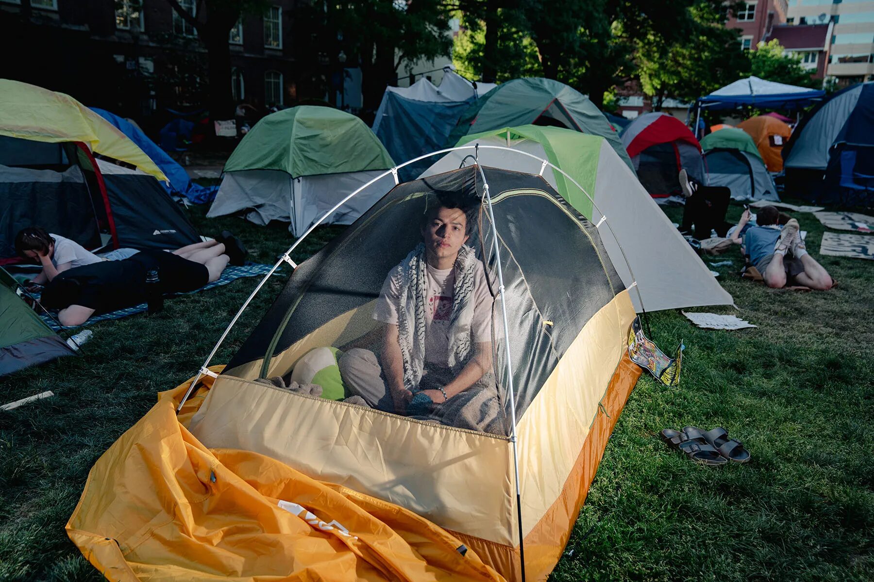 College protest photo essay: Young man with dark hair sits inside small yellow and white dome tent on a green grass lawn surrounded by similar tents and young adults