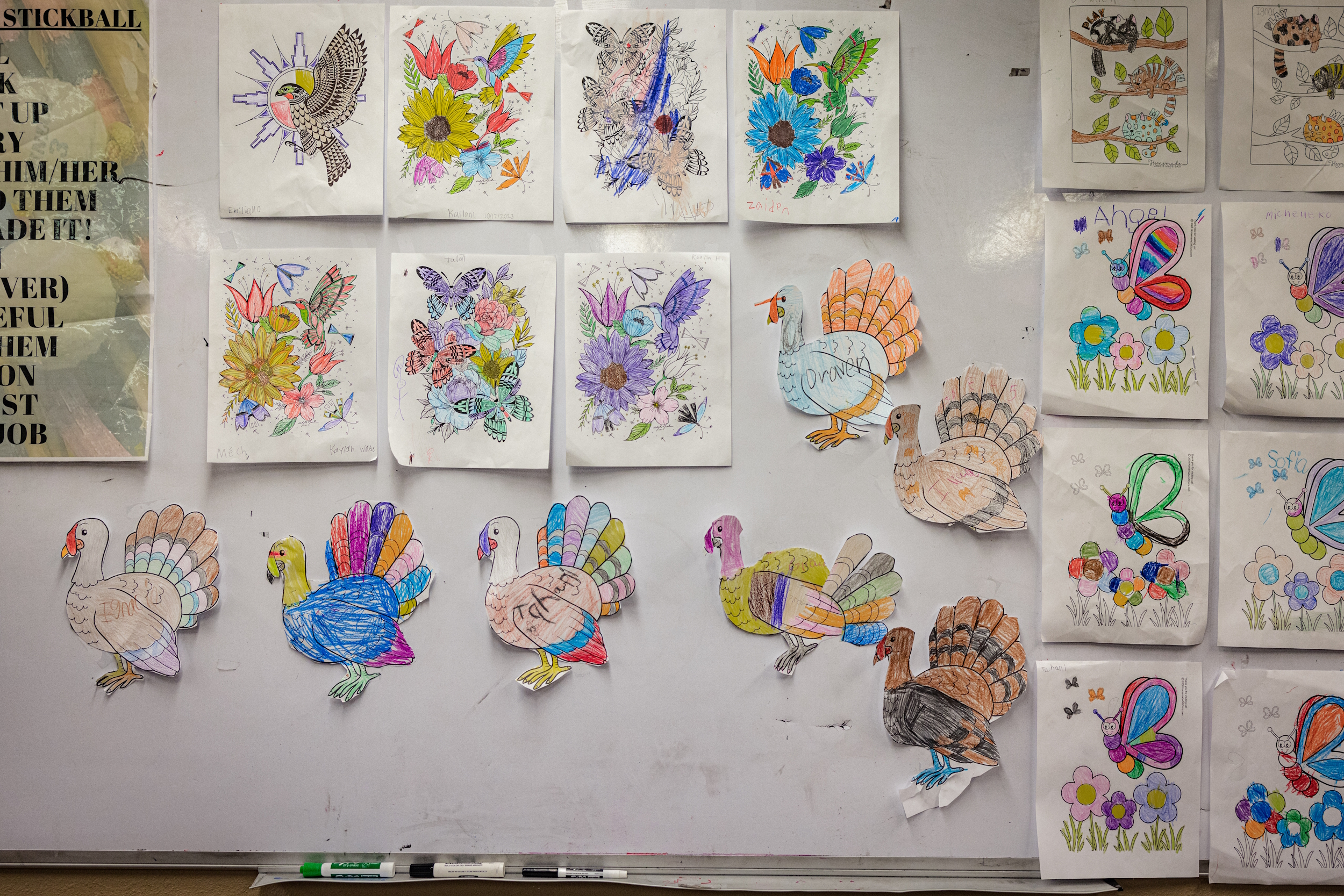 Native American Charter School; Bulletin board covered with white paper and several coloring book pages of flowers and turkeys and butterflies colored in pinned on the board