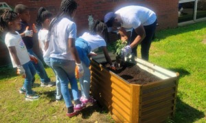 Student farmers' market: Jeromy-Payne and students in school learning garden working with plants in a raised container garden bed