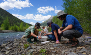 Rural school districts join forces: Three teens and a male adult sit on rocks of river shore gathering ecosystem samples