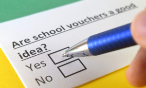 Arizona school vouchers: Close up of yes/no checkmark form asking "Are school vouchers a good idea?"