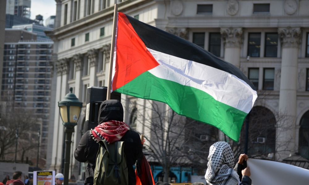 Trump is targeting international students over pro-Palestinian protests: view of protestor in hoody from behind holding Palestinian flag